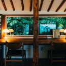 스테이오로지 이미지