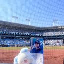 퍼피마인 | 2025년 공연·오프 후기 '내가 만난 남자들'