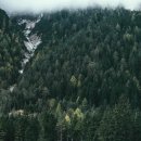 강가의집 이미지