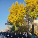 시랑 초등학교 병설유치원 이미지