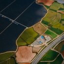 황금산업 이미지