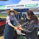 최성용농장 이미지