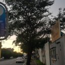 창포방파제모텔 이미지