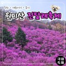 일상로그 | [일상로그] 부천 원미산 진달래 축제 후기 개화시기 주차까지 정리