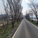 은석초교 이미지