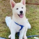 풍산마을 이미지