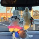 누운섶제주