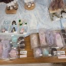도쿄 아이돌(アイドール) I・Doll VOL.69 후기