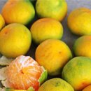 대구농장 이미지