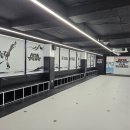 국가대표 아라태권도 이미지