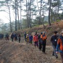 함양산양삼협회 영농조합법인 이미지