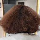 바미헤어 이미지