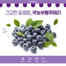 박농부디자인 이미지