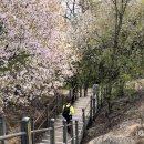 안산자락길 숲속카페 이미지