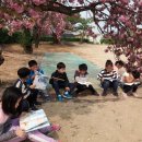 운신초등학교 이미지