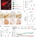 상동경희한의원 이미지