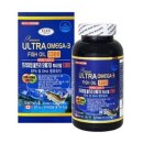 에버그린 이미지