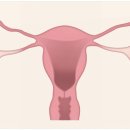 제이엘산부인과의원 이미지