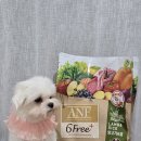루루하우스 | 무해 하우스 ANF 6 Free 플러스 인도어 양고기&amp;쌀 급여 후기