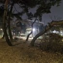 선학공원 이미지