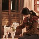 리틀포레스트 촬영지 이미지