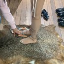 성수동 수제화 브랜드 에이레네 쇼룸 후기