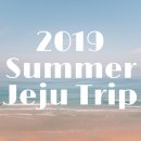 세화산장민박 | [식구투어in제주] 제주여행 준비(항공권, 숙소, 사전예약, 짐옮김 서비스)