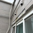 메디팜삼보약국 이미지