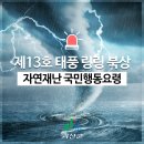 괴산비상13호 이미지