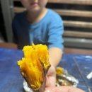 [경기 안성] 서운산 자연휴양림 숲속의집 고삼호수 1박 후기(저녁 산책)