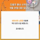 노원BCBG