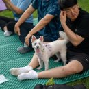 호수길 걷기명상 이미지