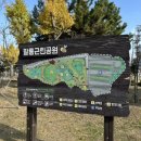 팔용산 등산로 입구 | 창원 팔용동 등산-팔용산(251117)