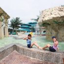 진양호캐리비안 이미지