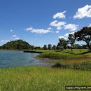 뉴 프로 당구장 이미지