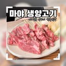 마야생양고기식육식당 - 남구 유엔평화로13번길 3 | 부산 대연동 마야 생양고기 식육식당 내돈내산 후기