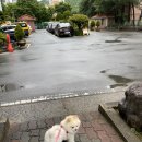 하삼동커피대구동천점