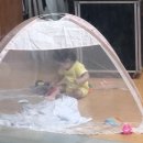 별끌림하우스 이미지