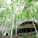 유성대로(유성-35) 이미지