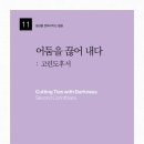 이레존 이미지