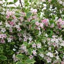 계절의집 이미지