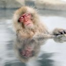 월드여행사 이미지