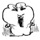 아악 스포티파이 3개월체험 할 눈아들 조심해 이미지