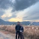 현풍농협주유소 이미지