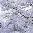 피그말리온 이미지