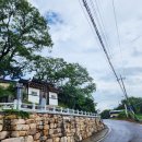 제일강산 이미지