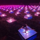 태화강 빛 축제 이미지