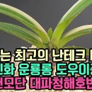 돈이되는 최고의 난테크 태공망 려인 신화 운룡롱 도우이중 어기 천도 천모단 대파청해호반 건국 이미지