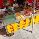 오동나무어린이공원 | 오동도 동백꽃 개화 현황 feat. 자전거로 오동도 가기