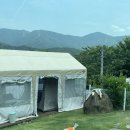 📍청도 애견동반 카페 &lt;ppbp&gt; • 청도 애견카페• 캠핑카페• 청도 분위기 좋은 카페
